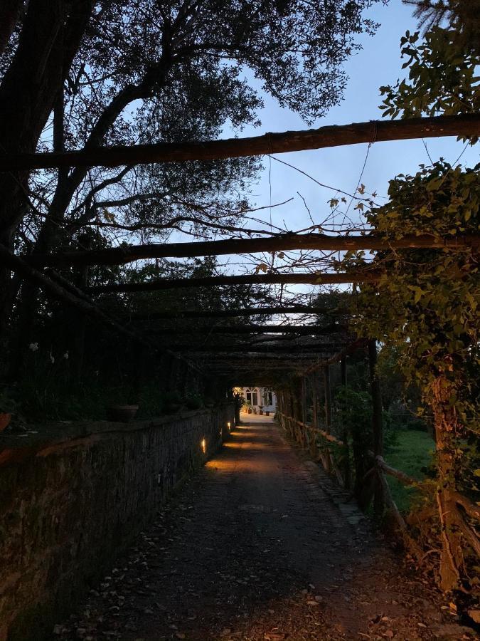 Sunrise Luxury Experience Bed & Breakfast Piano di Sorrento Bagian luar foto